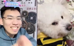 Télécharger la video: 听泉鉴宝遇到了有史以来最懂兄弟的犬，听泉声称要花10w买下