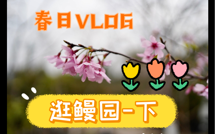 [花园鳗日常]逛鳗园下哔哩哔哩bilibili