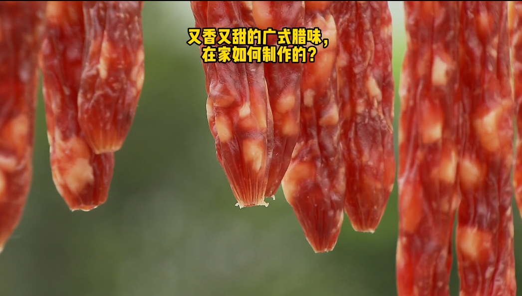 又香又甜的广式腊味,在家如何制作的?哔哩哔哩bilibili