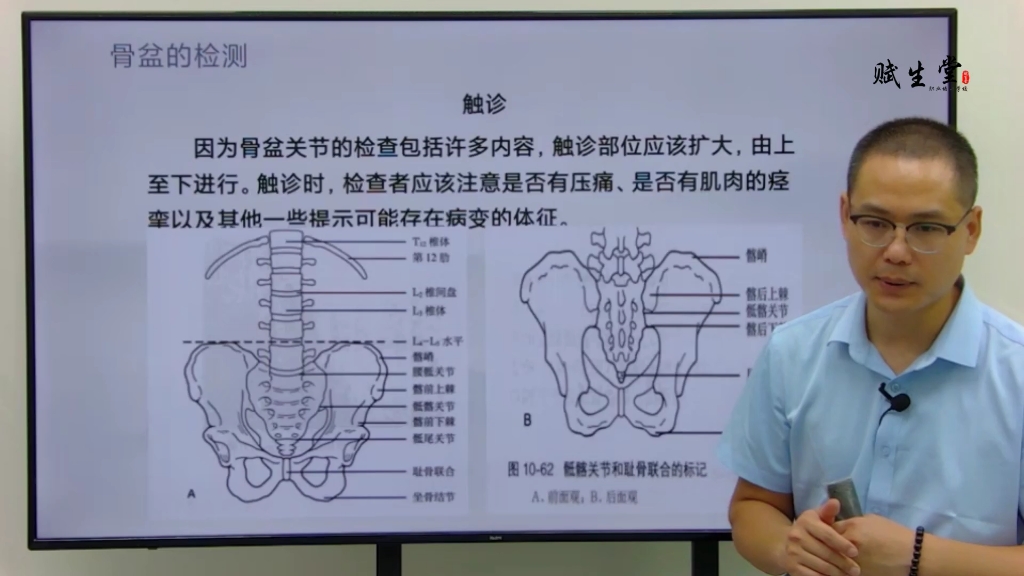 16.骨盆的解剖与正骨方法哔哩哔哩bilibili