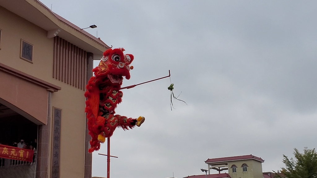 广东舞狮采青图片