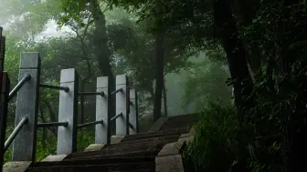 Descargar video: 治愈系旅拍·《雨过森山》｜ 松下G92一亿像素超解析 ｜ 崂山巨峰