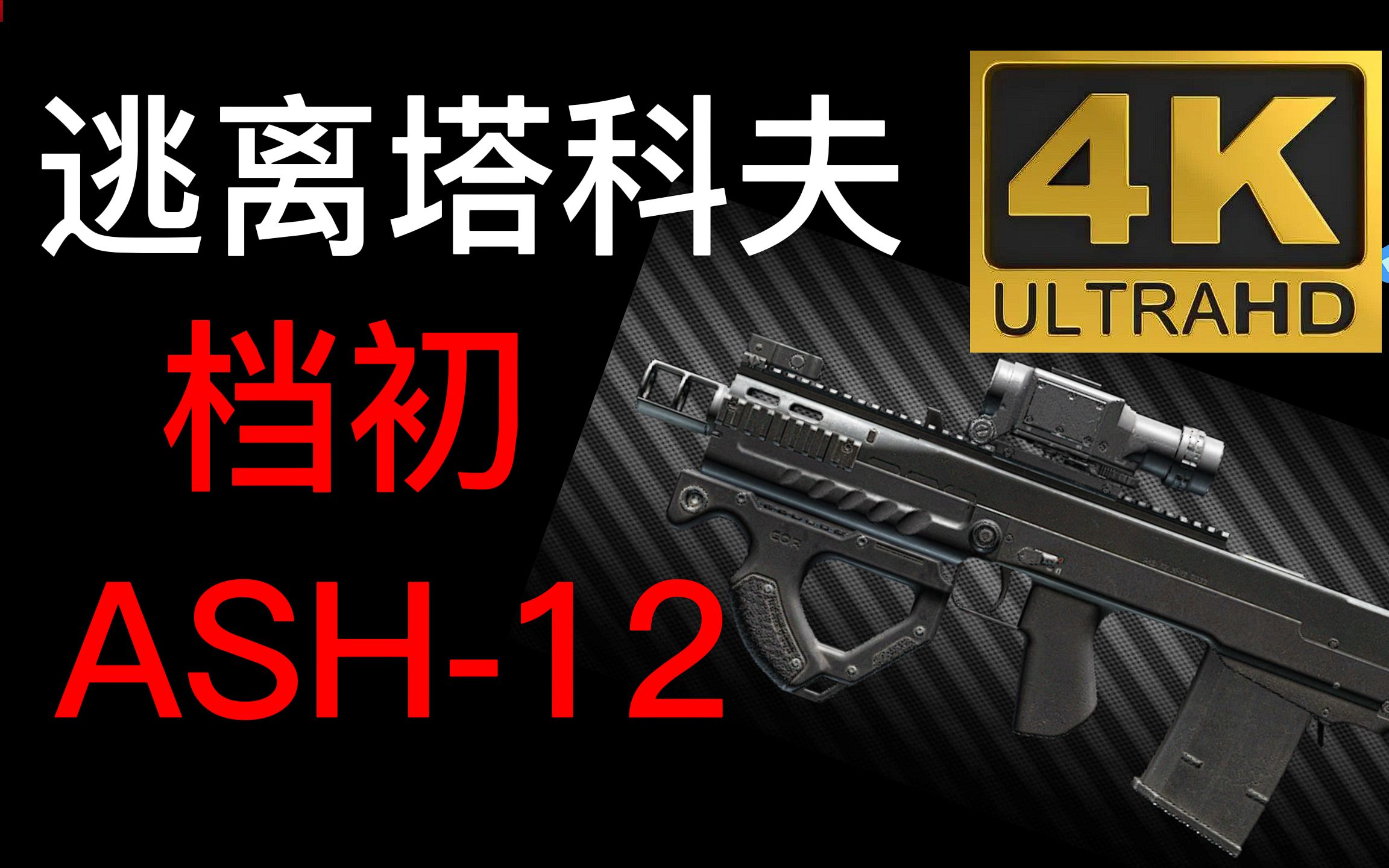 [图]逃离塔科夫档初ASH-12（实战版）