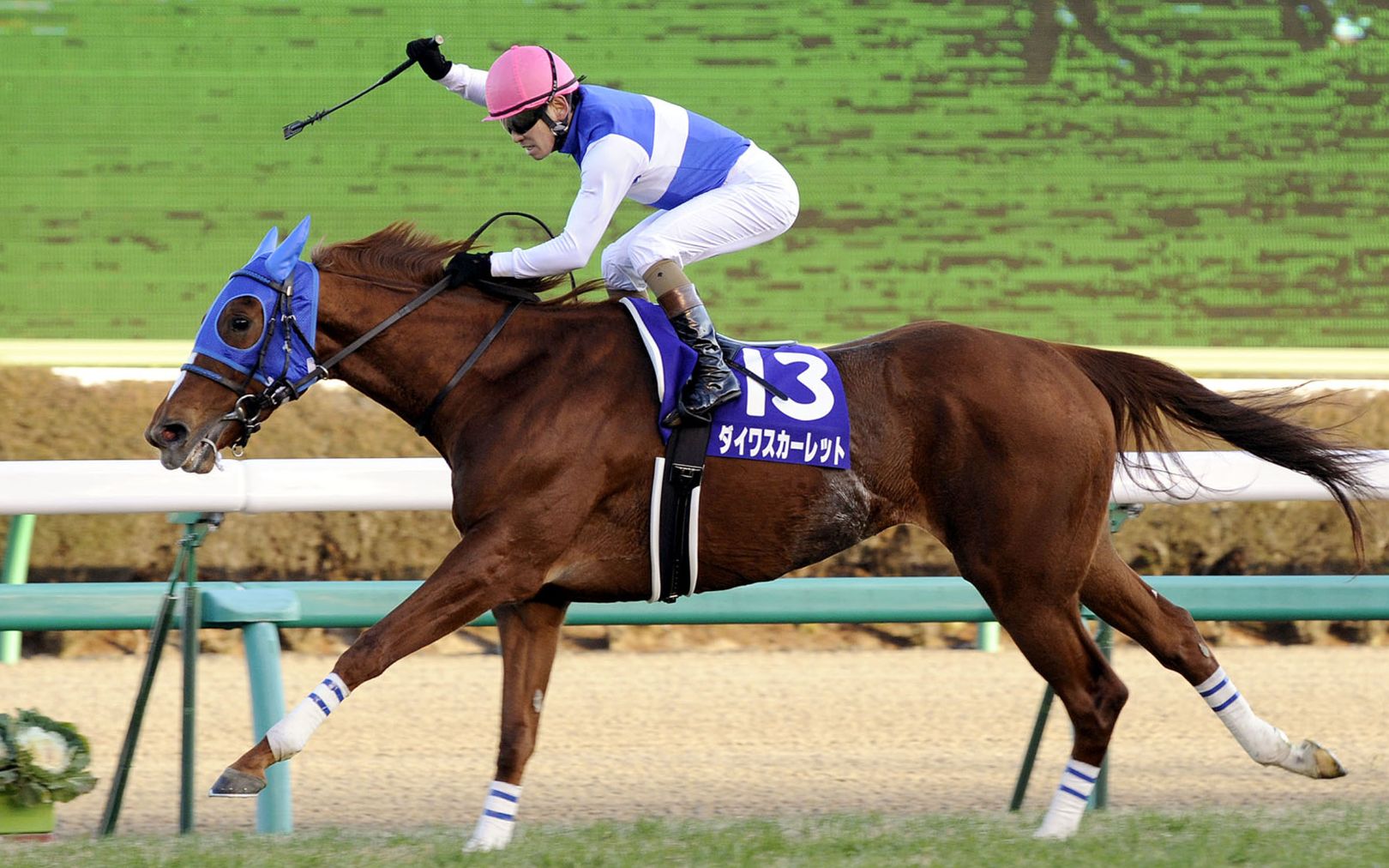 12.28 有马纪念 (gi) 【大和赤骥】