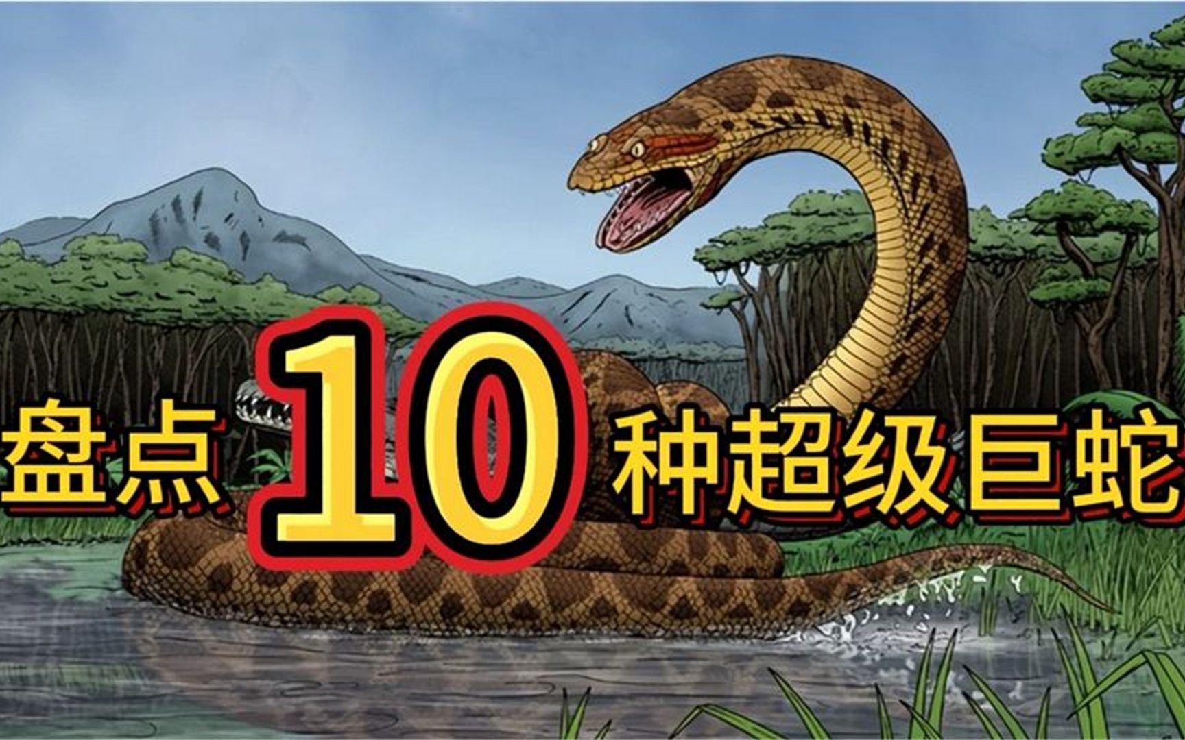 你从未见过的10种超级大的蛇