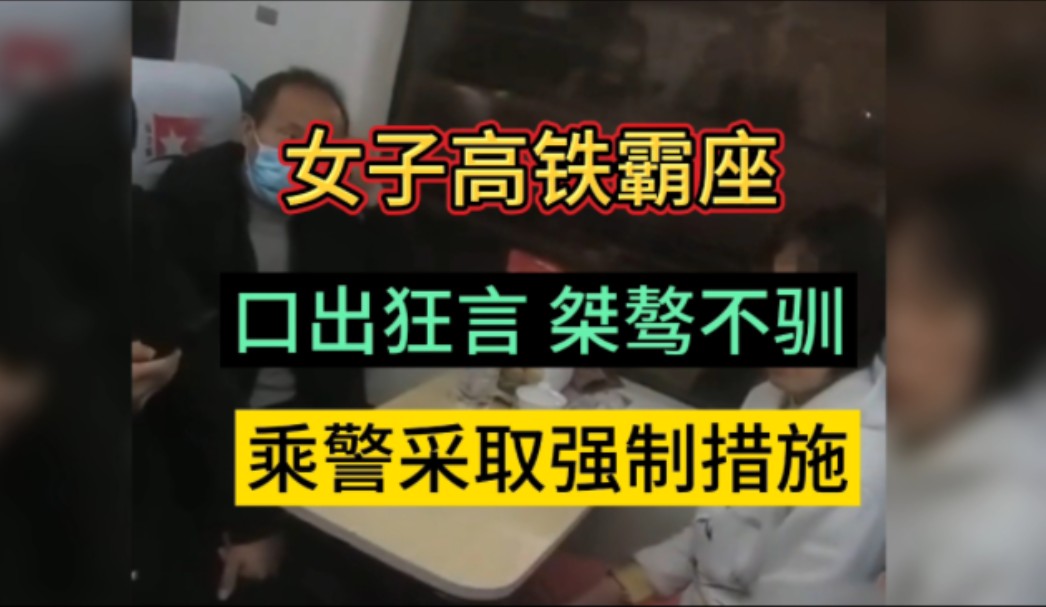 女子高铁霸座,口出狂言 ,桀骜不驯,乘警依法采取强制措施,遵守乘车规定,是每个公民应该做的哔哩哔哩bilibili