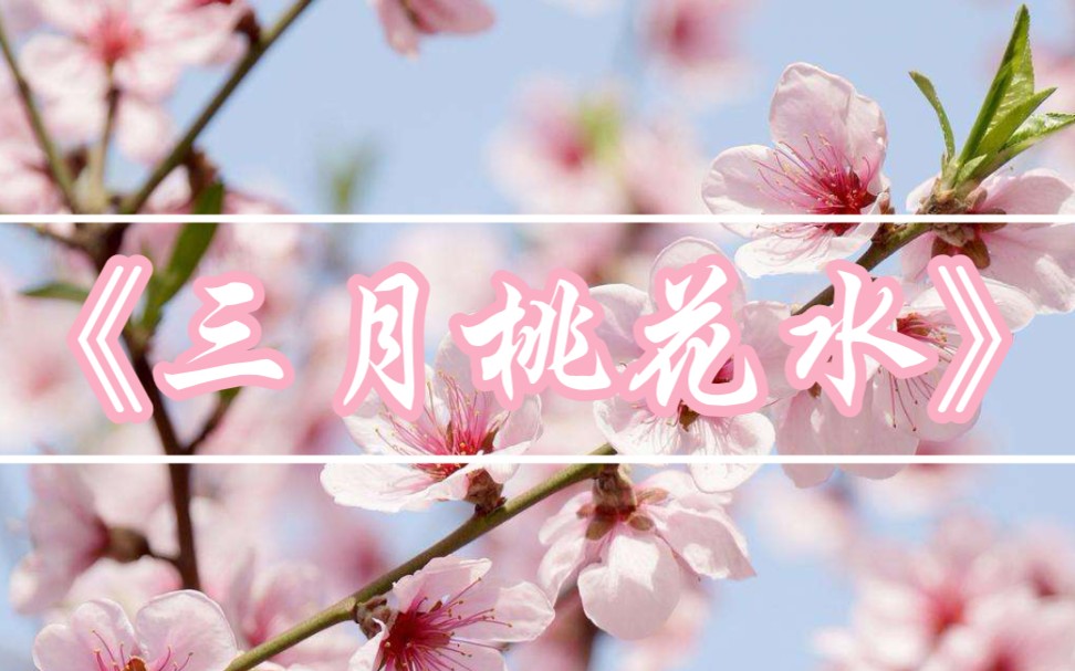 [图]朗诵：《三月桃花水》地上草如茵，两岸柳如眉。