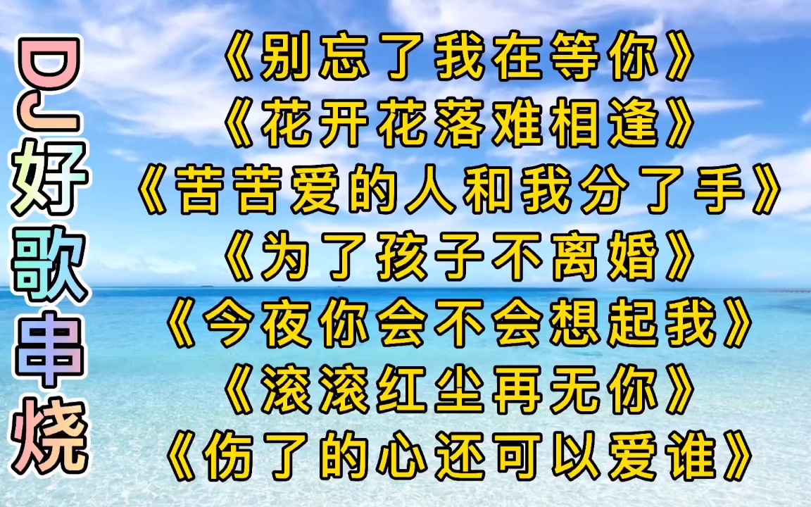 [图]七首车载歌曲DJ版,节奏旋律很棒《别忘了我在等你》