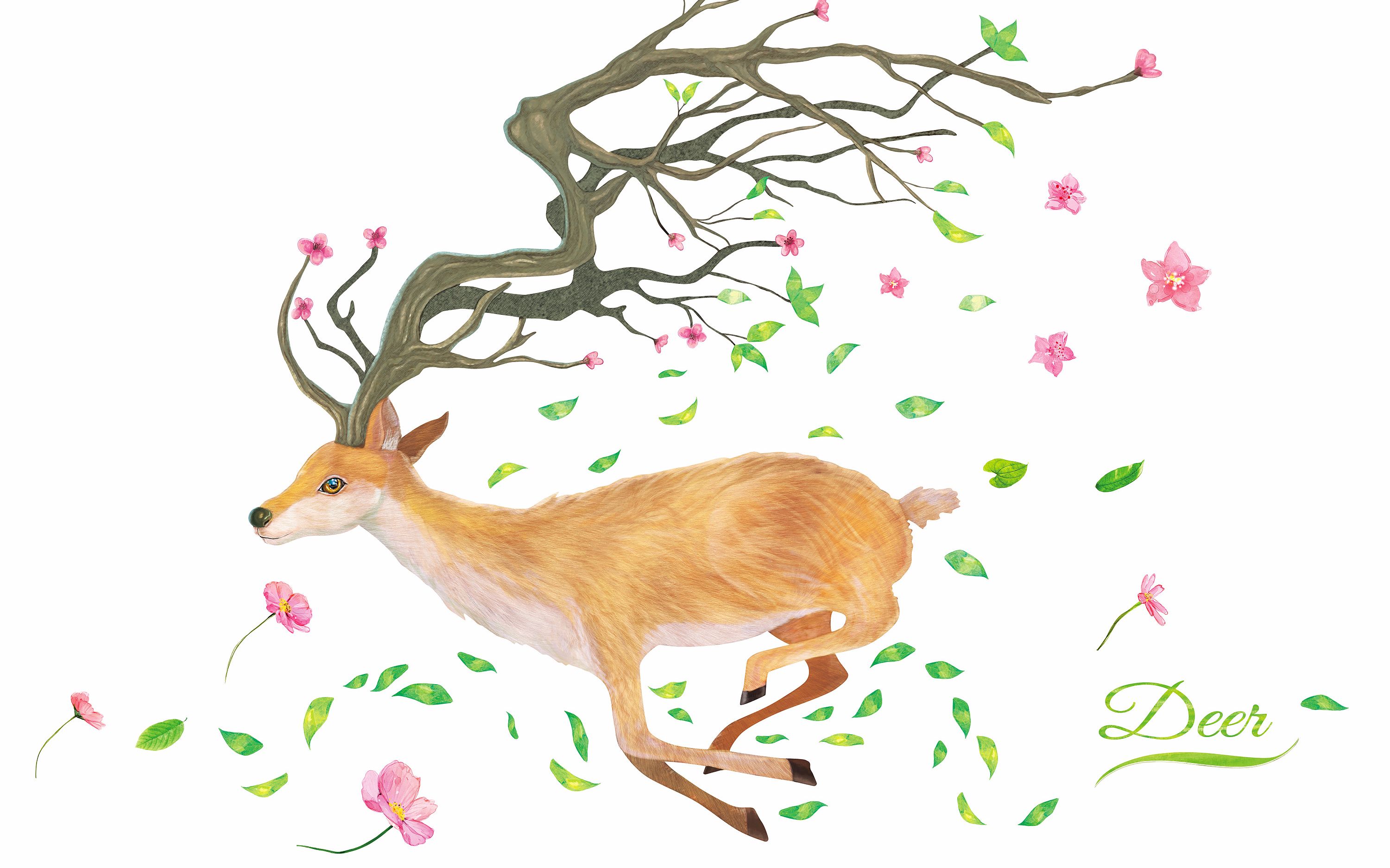 一只鹿的个人简历