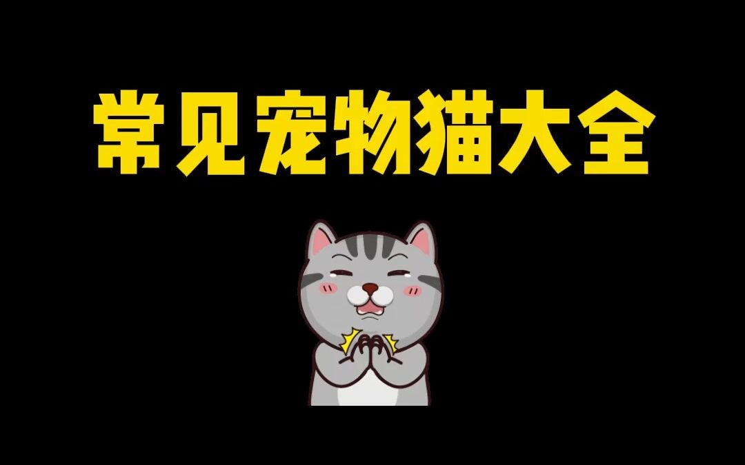 常见宠物猫大全!!哔哩哔哩bilibili