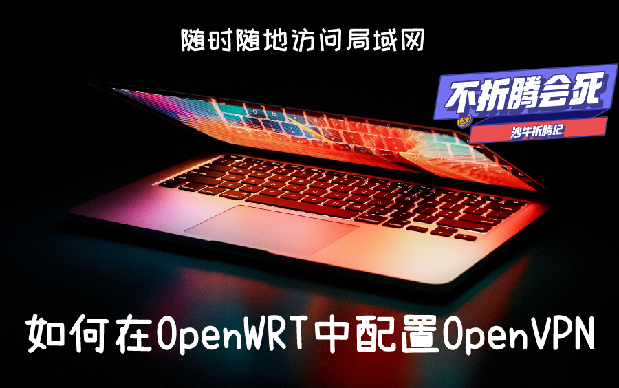 400软妹币买的垃圾主机,装了OpenWRT软路由,如何配置OpenVPN,以实现随时随地访问局域网?哔哩哔哩bilibili