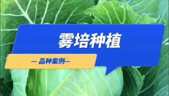 一不小心，做农业14年了，说实话真的非常不容易。如果没有准备好，千万别入行，#智慧农业 #记录我的种植生活 #新农人计划2023