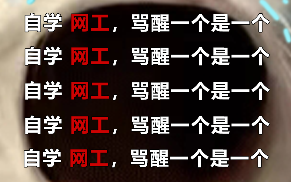 听劝!千万不要盲目学网工!!好的学习顺序真的很重要,可以帮你少走弯路!含网络工程师HCIA HCIP HCIE 华为认证0基础入门到精通必备教程,通俗易...