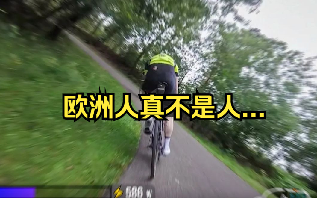 [NorCal Cycling]荷兰人系列:为啥欧洲人都是禽兽?!哔哩哔哩bilibili