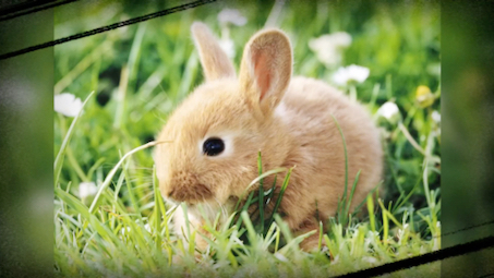 推筒子二八杠生死门技巧视频【茄薇9785 8599】