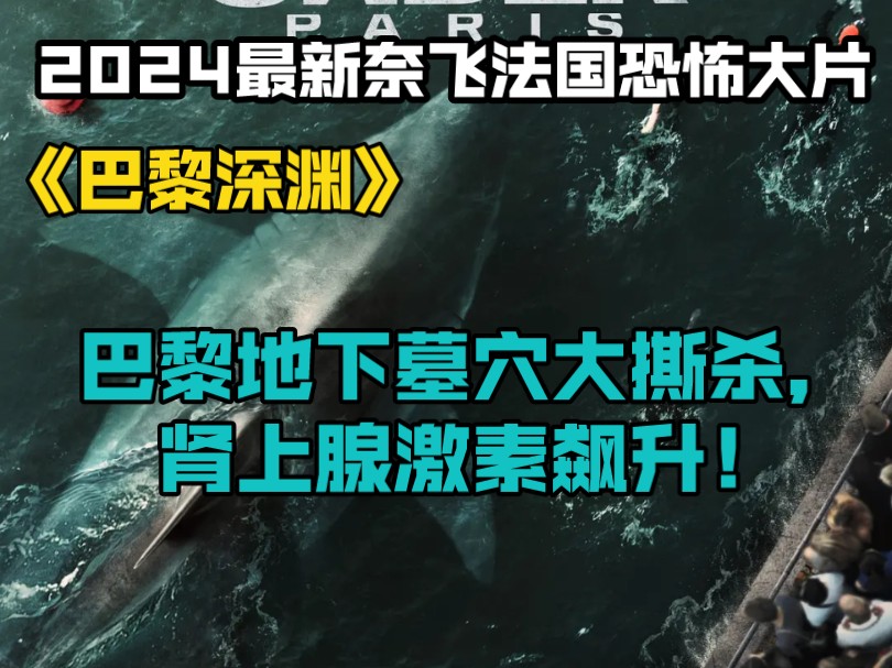 [图]2024最新奈飞法国恐怖大片《巴黎深渊》巴黎地下墓穴大撕杀，肾上腺激素飙升！