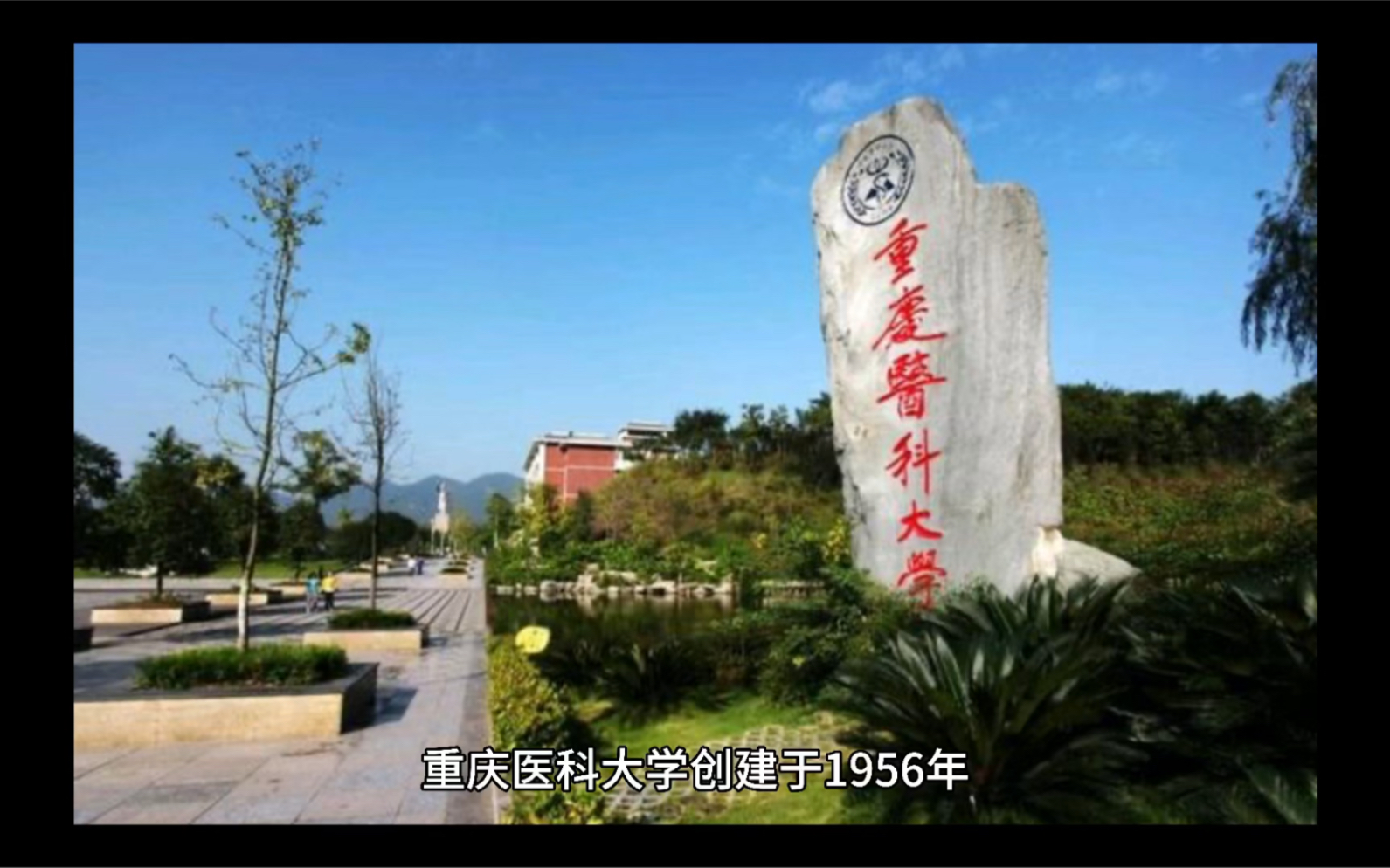 医学十院校(10)重庆医科大学(上)哔哩哔哩bilibili