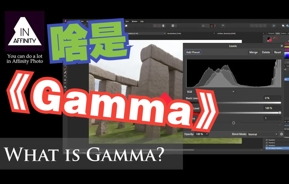 什么是Gamma?&What is Gamma哔哩哔哩bilibili