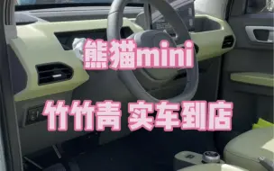 Download Video: 吉利熊猫mini 竹竹青实车到店