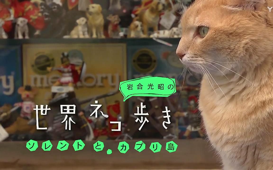 【猫片】《猫行天下》93. 索伦托与卡普里岛篇【超清补档】哔哩哔哩bilibili