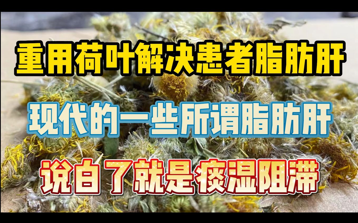 重用荷叶解决脂肪肝,现代的一些脂肪肝,说白了就是痰湿阻滞哔哩哔哩bilibili