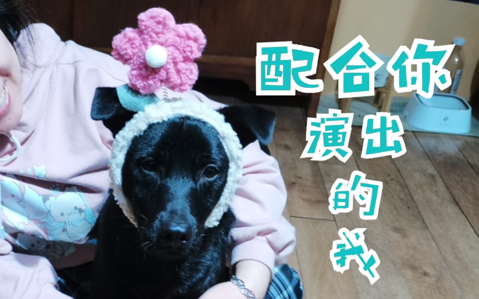 狗剩儿有小天使陪你奇奇怪怪陪你可可爱爱