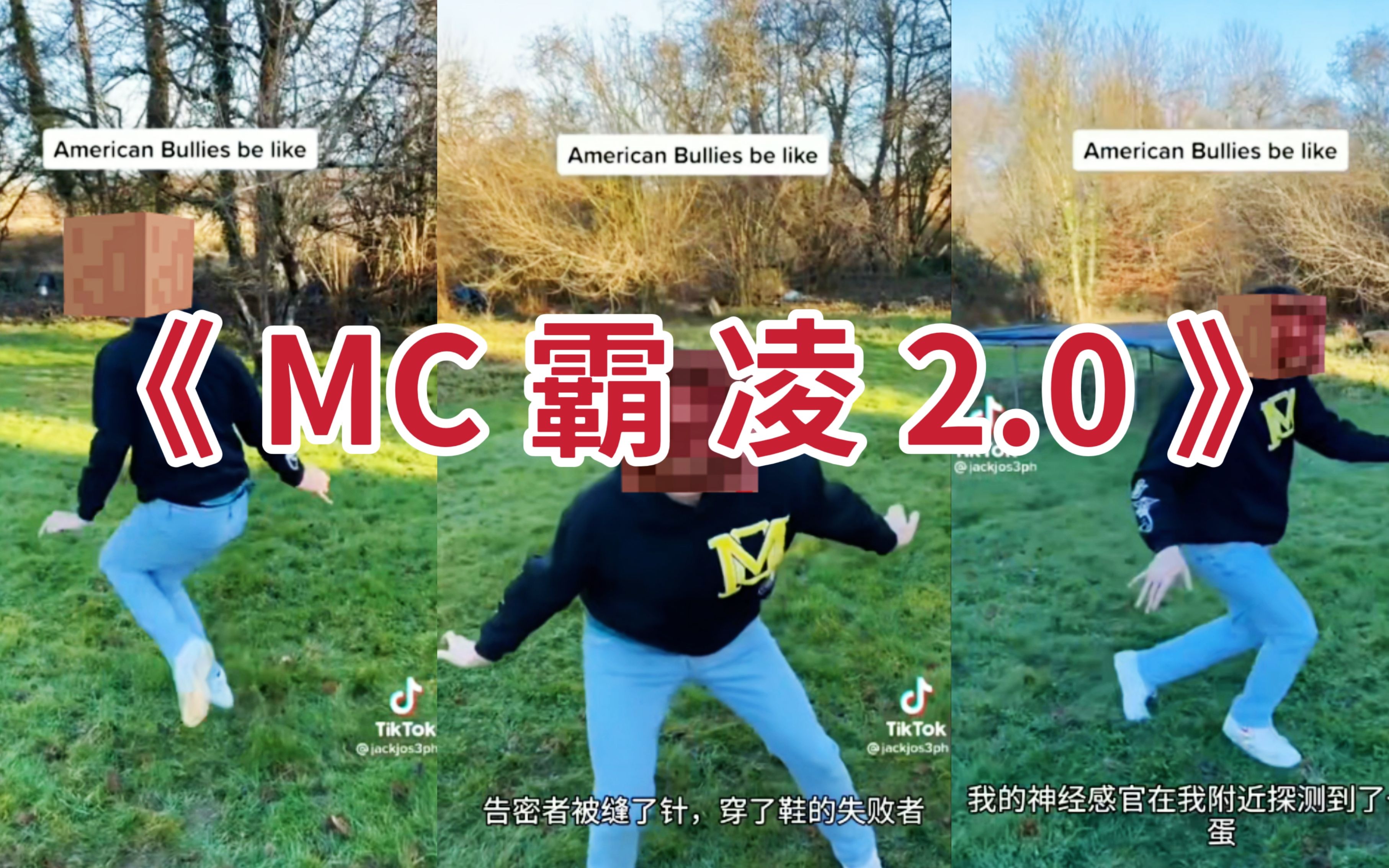 [图]美 式 霸 凌 但 是 是 MC UP 2.0