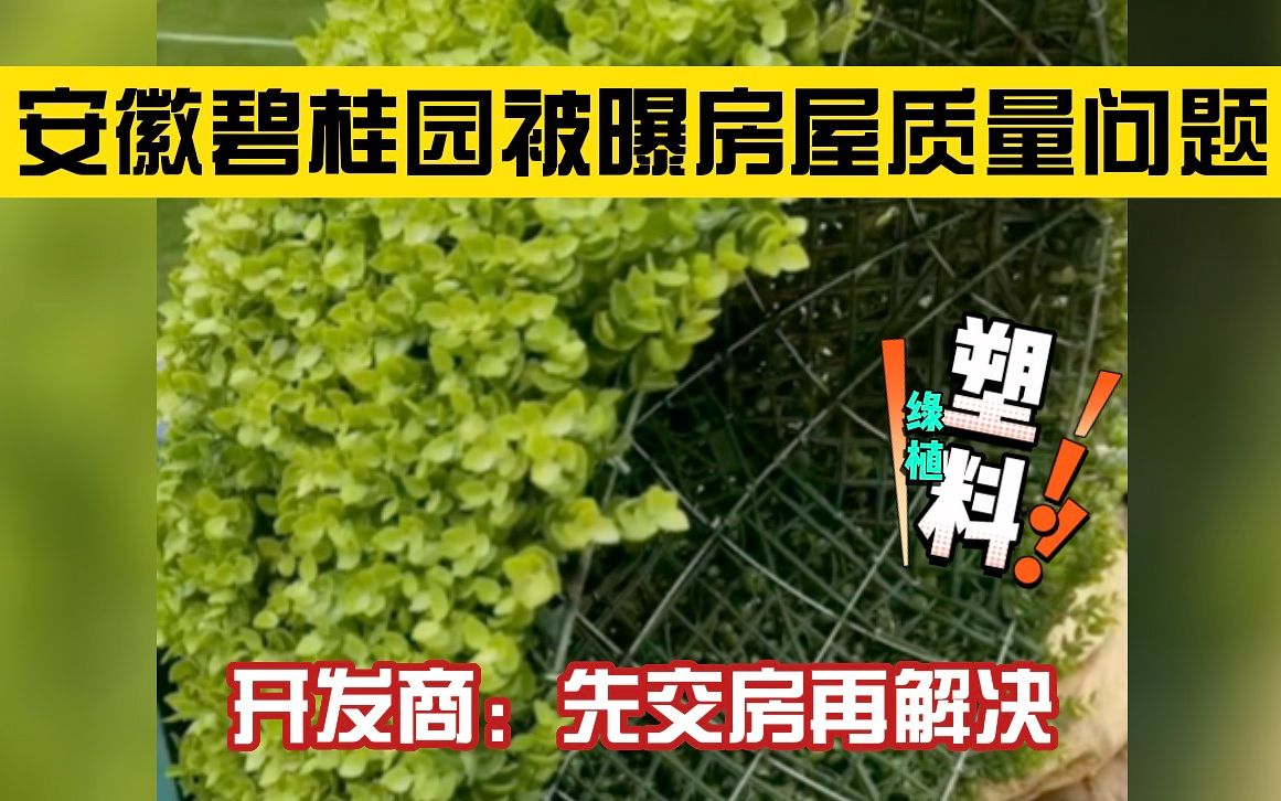 安徽碧桂园被曝房屋质量问题,绿植造假、墙壁渗水,开发商:先交房再解决哔哩哔哩bilibili