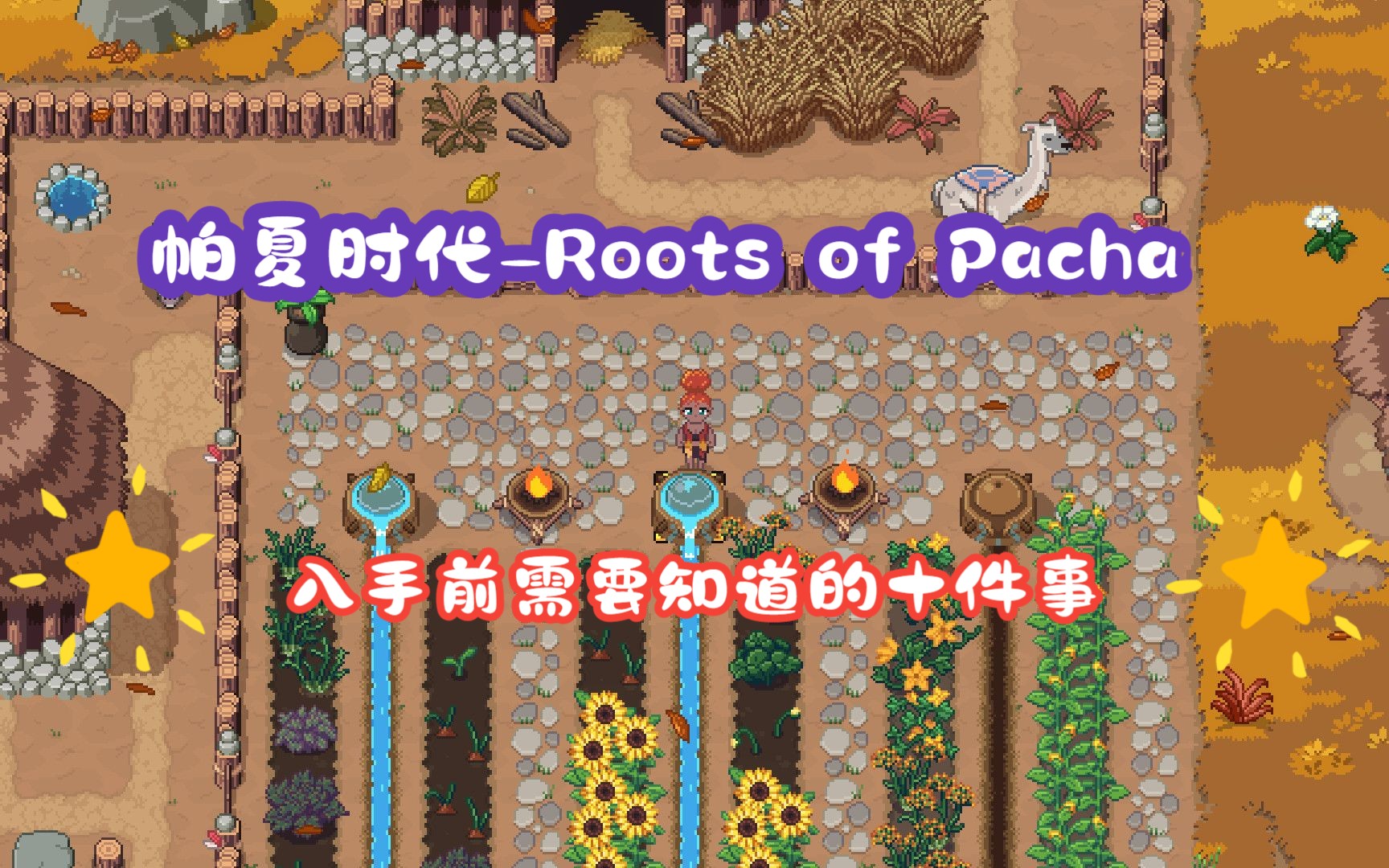 [图]【帕夏时代（石器星露谷）-Roots of Pacha】入手前需要知道的十件事