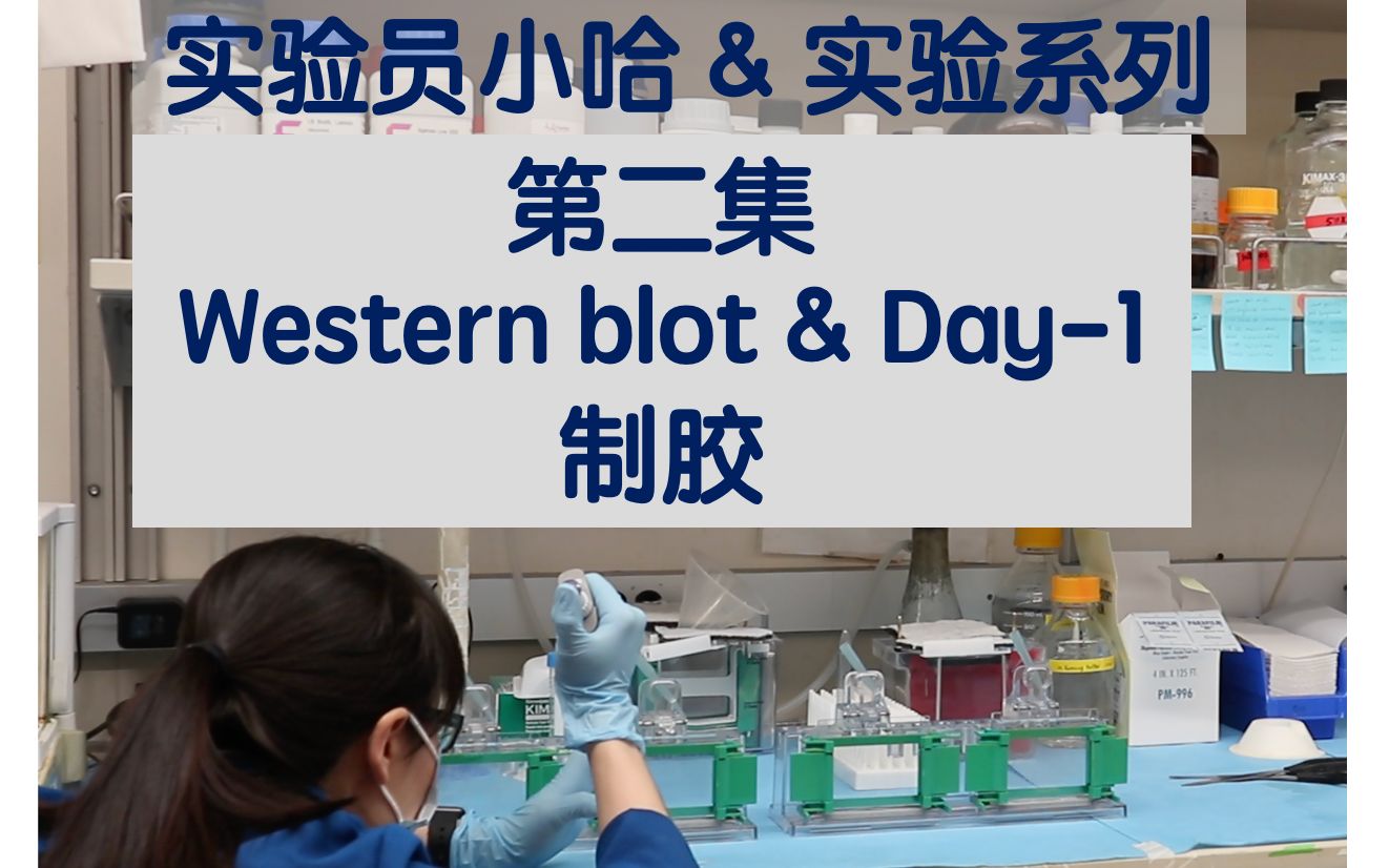 [图]实验员小哈&实验系列 - 第二集 - western blot - Day1 - 制胶