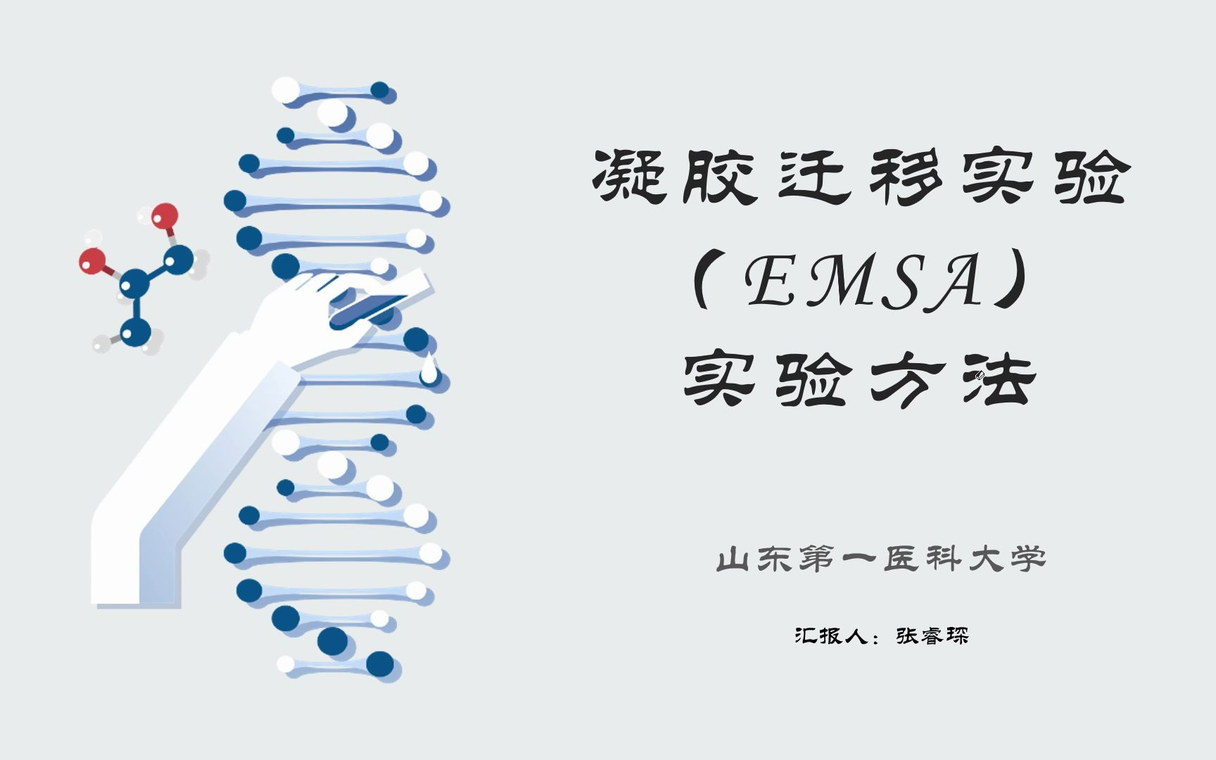 凝胶迁移实验(EMSA)实验方法哔哩哔哩bilibili