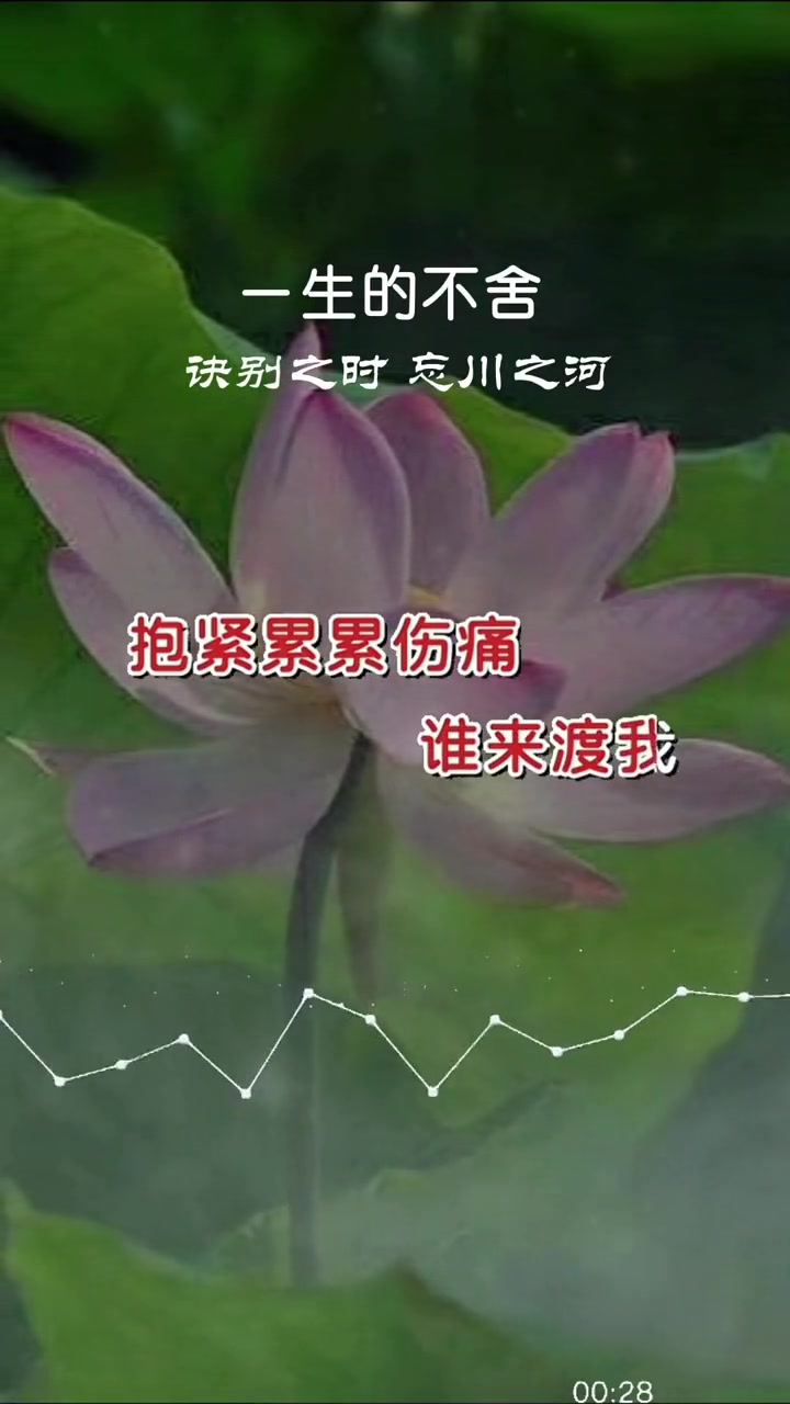 [图]创作灵感歌词句句扎心歌声凄美伤感听得崔人泪下今生无缘有你的枕