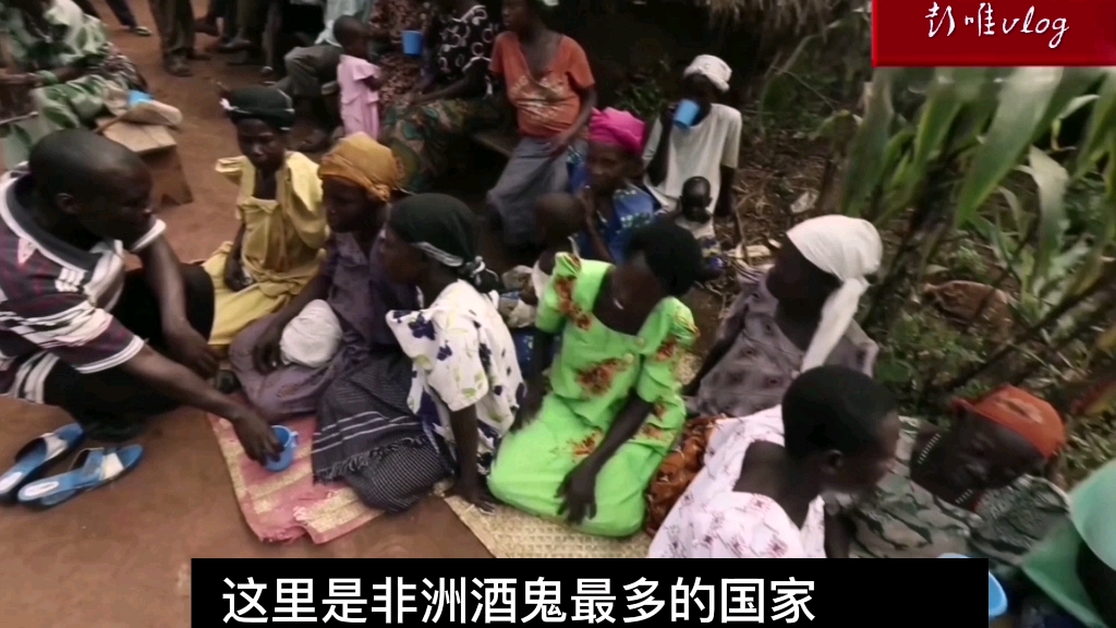非洲纪录片乌干达人喝白酒上瘾把酒当水喝男女老少每天都醉生梦死