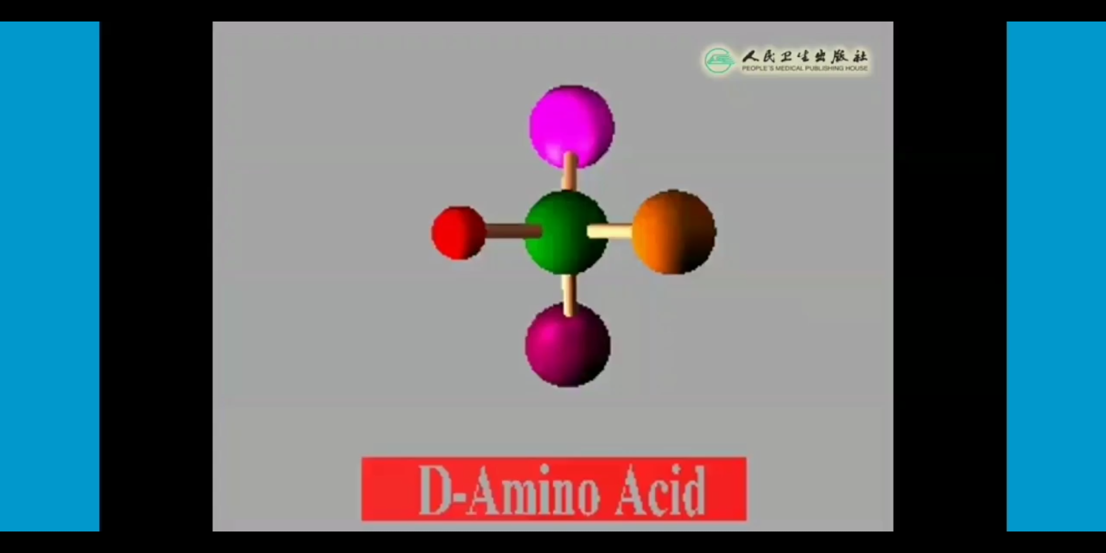 氨基酸空间结构图图片