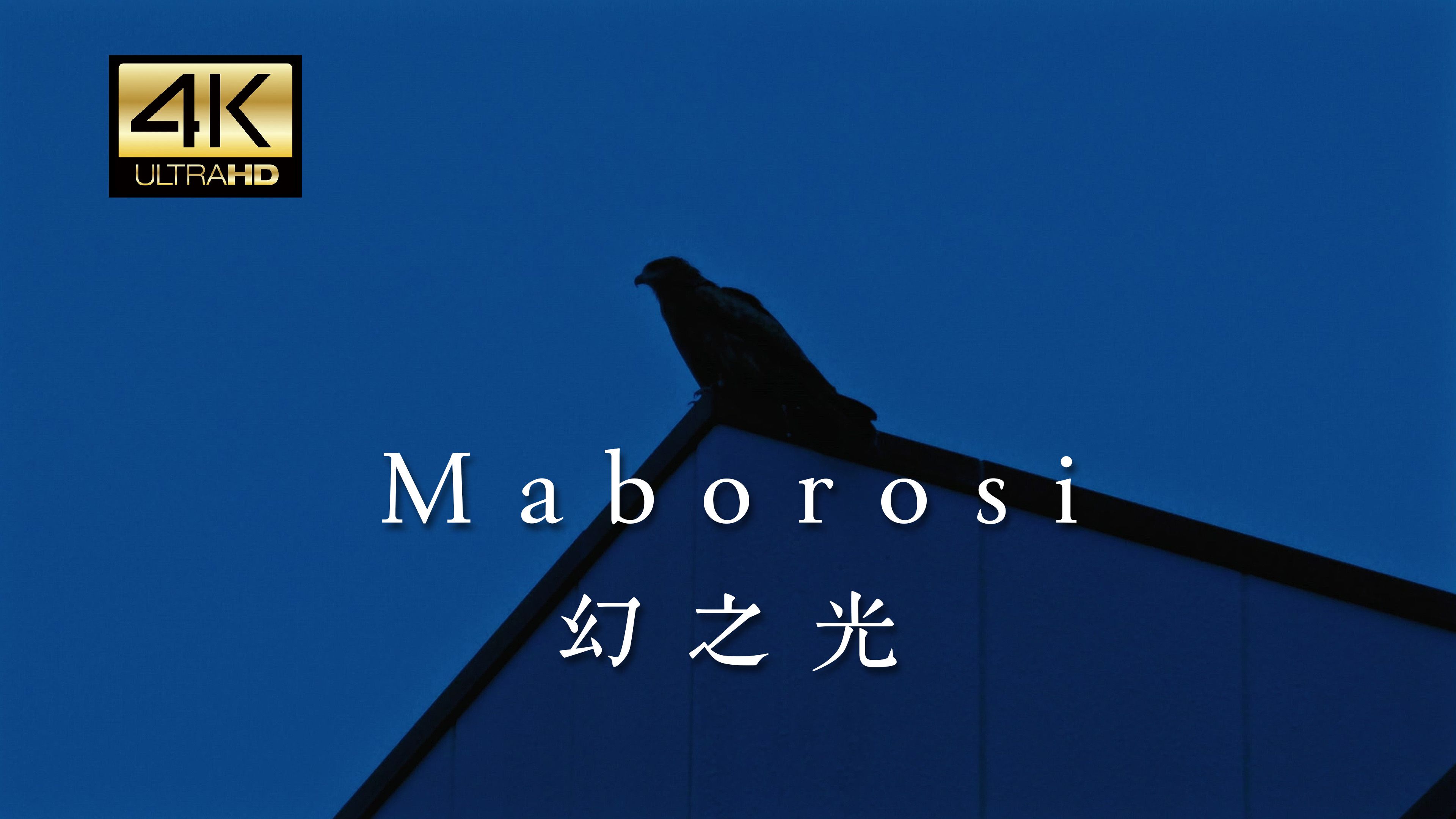 4K|Maborosi|幻之光|纪伊胜浦|apple log|iphone 16 pro|手机摄影哔哩哔哩bilibili