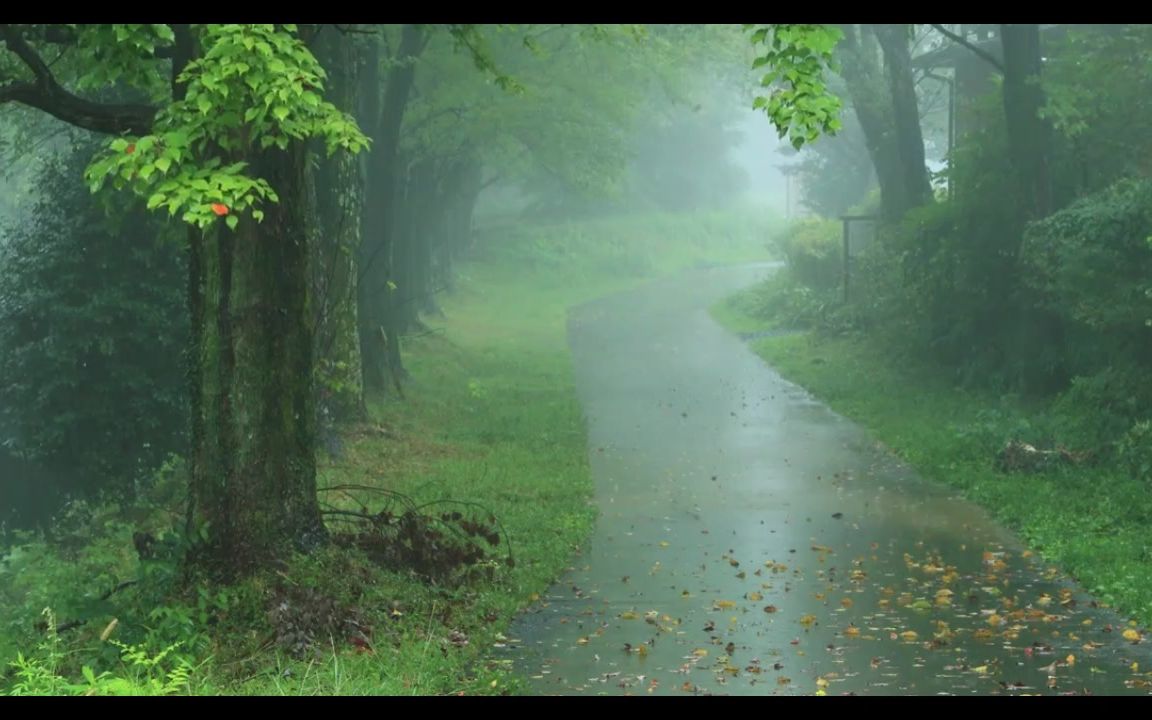 [图]春雨润无声！