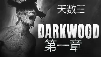 第四期 恐怖游戏《黑暗森林》 第一章 天数三  沉浸式实况