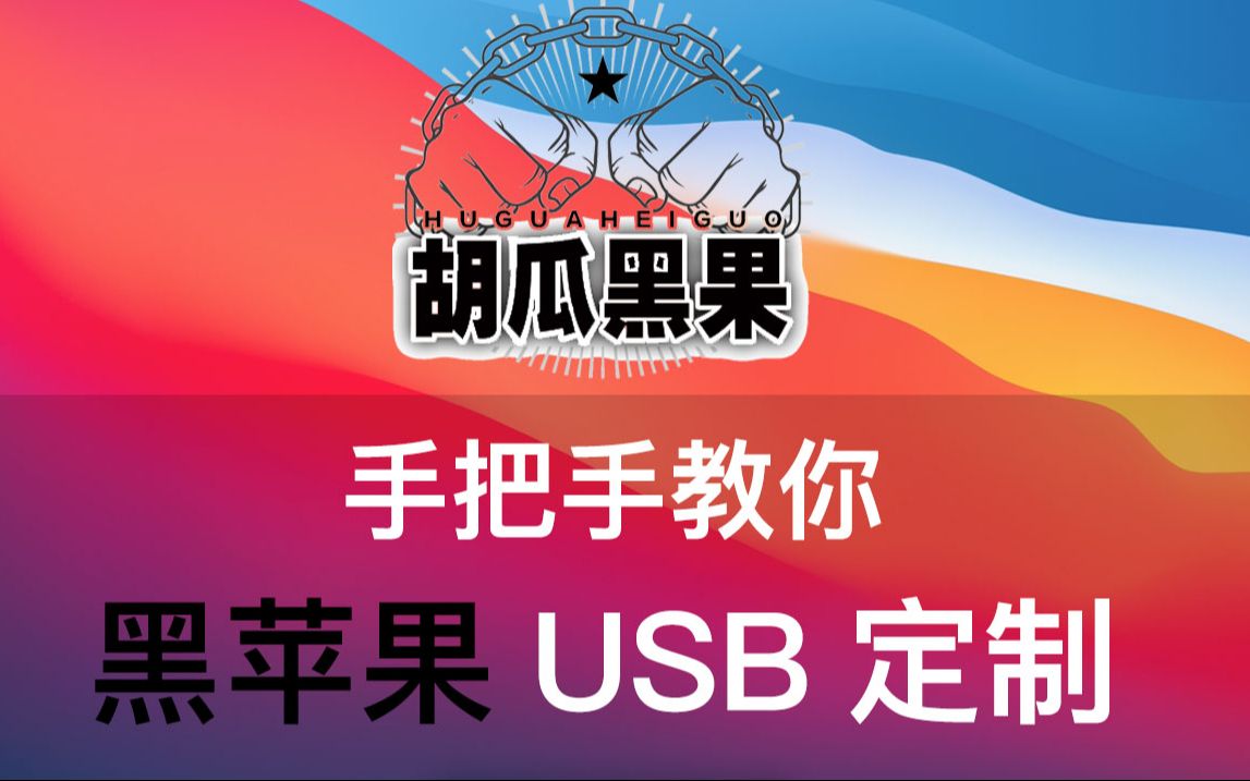 【胡瓜黑果】黑苹果为什么要定制USB?黑苹果定制USB教程哔哩哔哩bilibili