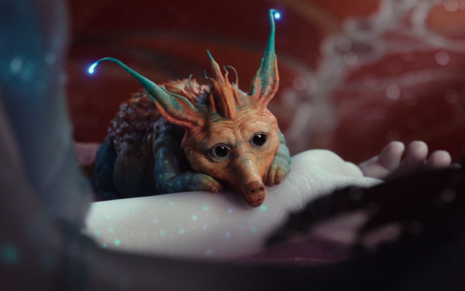 千星之城千星之城的外星生物们,哪个最萌?