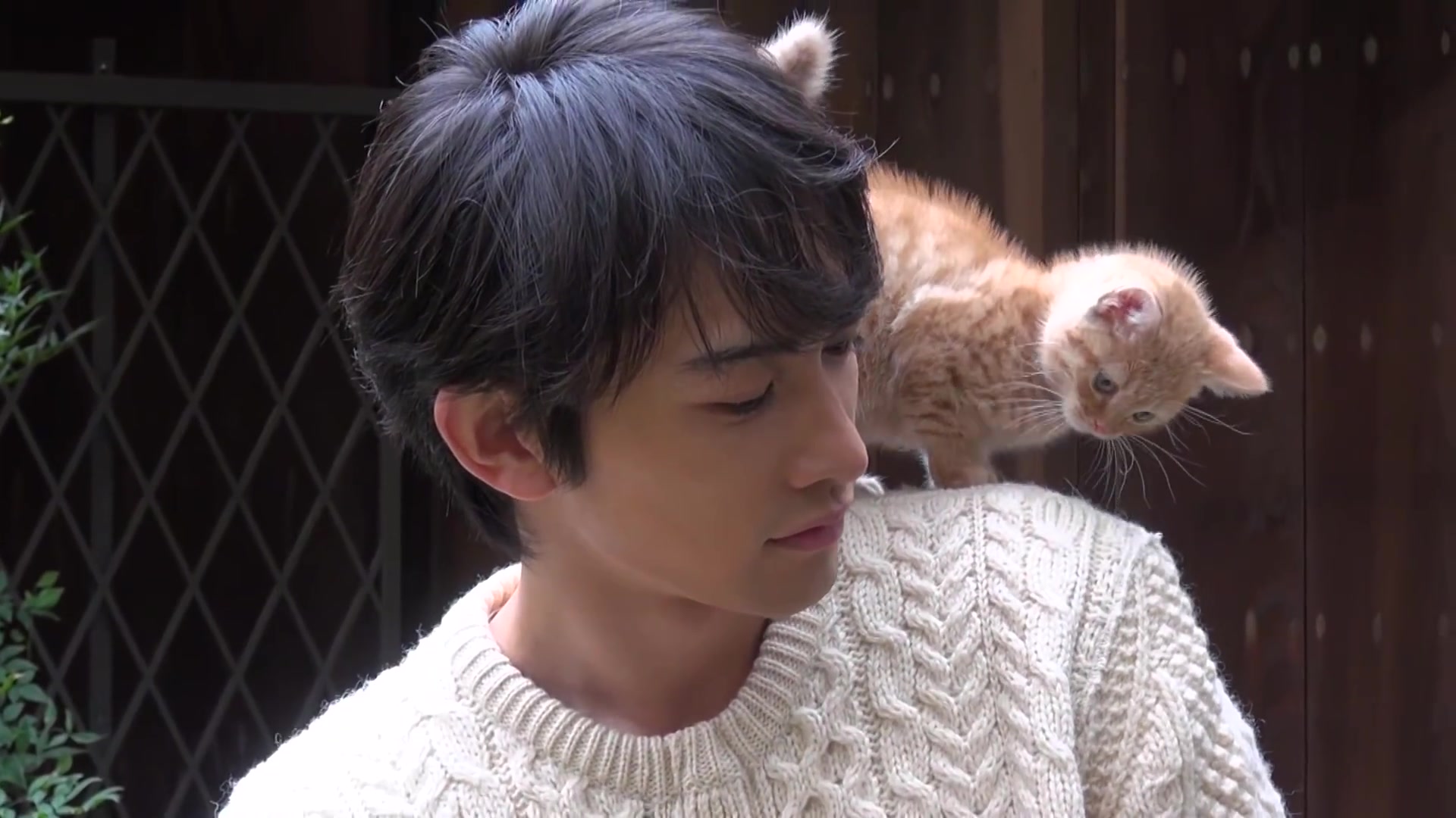 「町田启太と仔猫」 写真家11梅佳代が撮影!_哔哩哔哩_bilibili