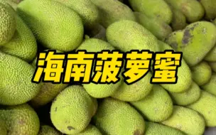 Download Video: 海南真的是一个菠萝蜜吃到爽的地方啊，1.5一斤，一个超级大的菠萝蜜也就二三十块钱，可以剥出来好多！