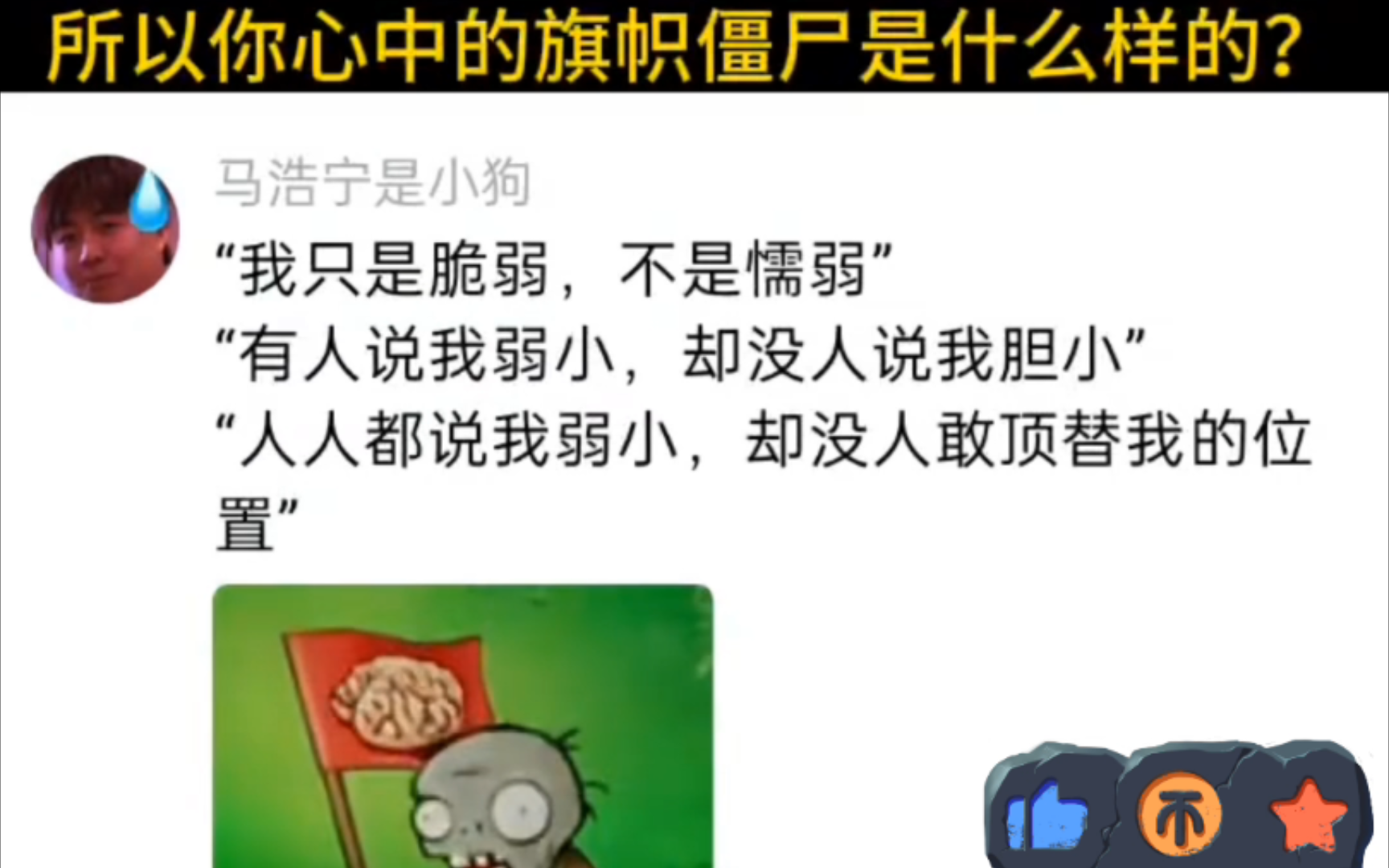 植物大战僵尸杂交版,旗帜僵尸