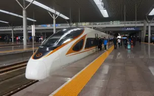 Descargar video: G169次350km/h正线通过天津南站