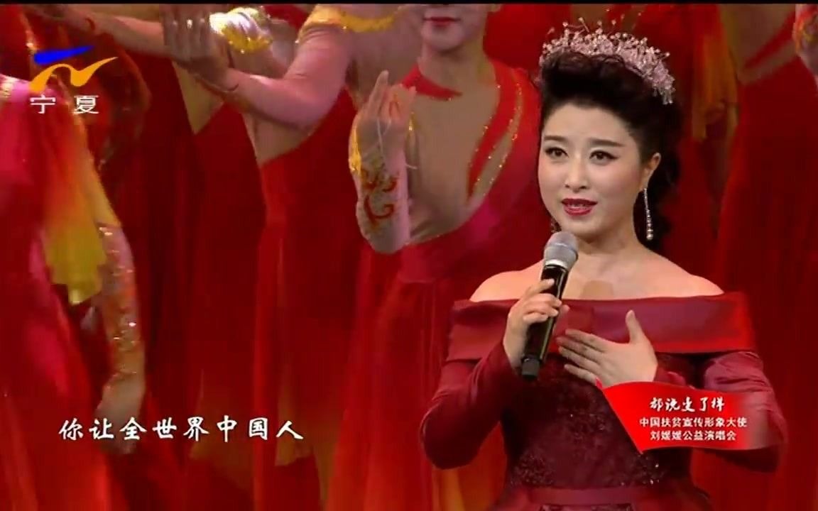 [图]都说变了样中国扶贫宣传形象大使刘媛媛公益演唱会