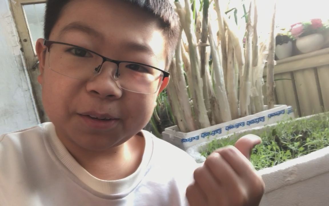 农村小飞阳:花盆能种瓜子?