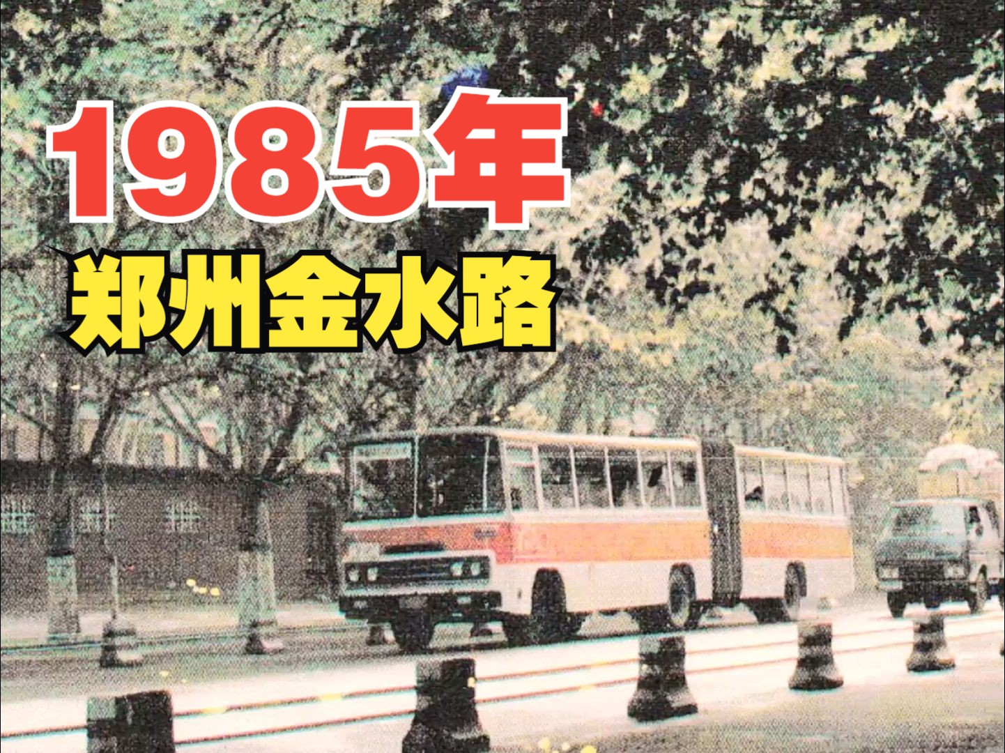 1985年 郑州金水路 那时候,才是真的“绿城郑州”!走在人行道,骑车,夏天基本晒不着,真是美好回忆啊!哔哩哔哩bilibili