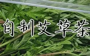 Télécharger la video: 艾草又称百草之王，放锅里蒸一蒸作用厉害了，省钱实用，做法简单