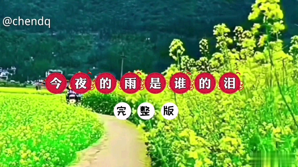 [图]《今夜的雨是谁的泪》完整版