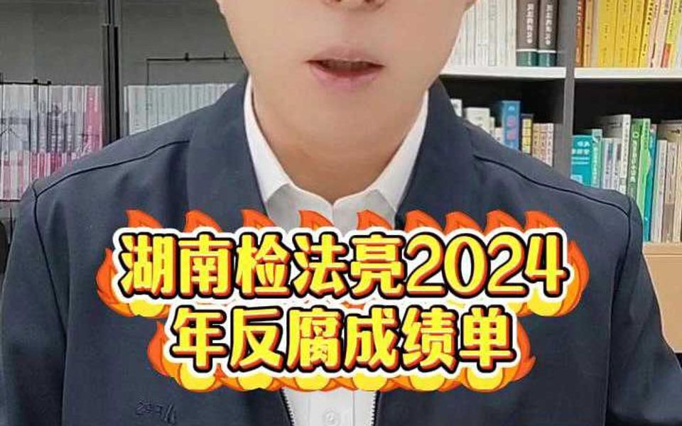 湖南检法亮2024年反腐成绩单哔哩哔哩bilibili