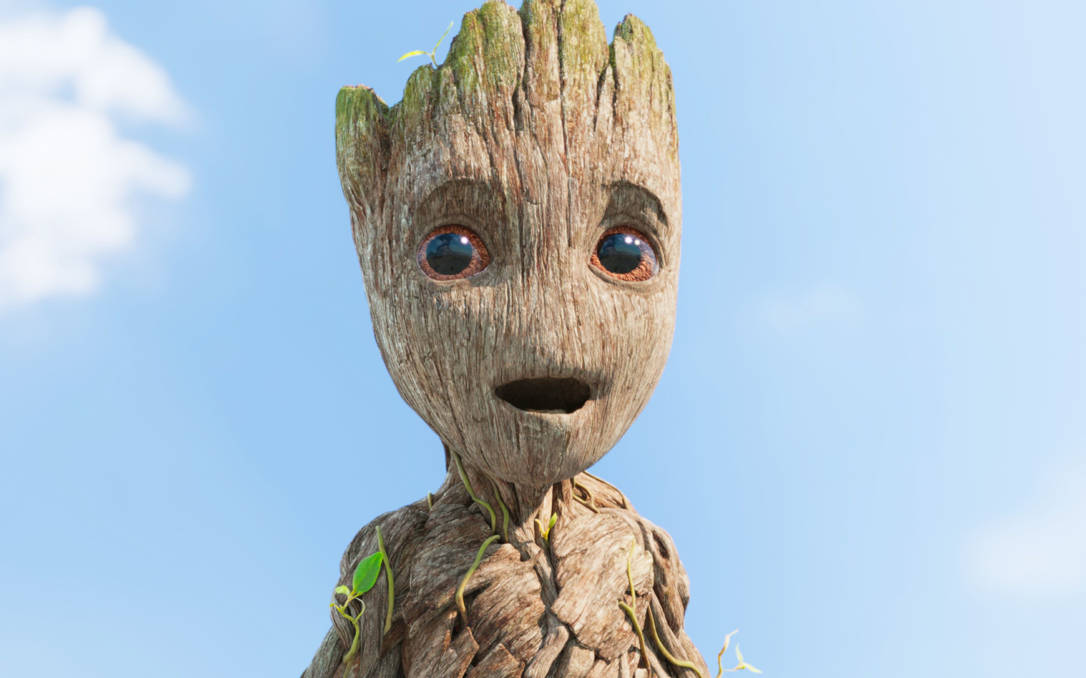 树宝可可爱爱,这样的萌宠直接给我来一打吧!